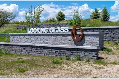 13759 Daffodil Way, Parker, CO 80134 - Photo 43