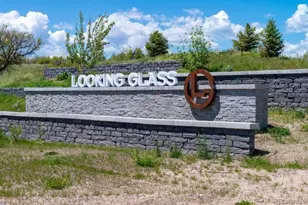 13759 Daffodil Way, Parker, CO 80134 - Photo 43