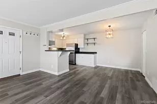 410 Zang St, Lakewood, CO 80228 - Photo 9