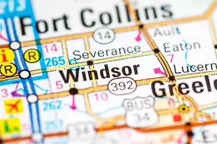 7163 Spanish Bay Dr, Windsor, CO 80550 - Photo 7