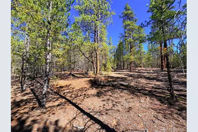 323 Aspen Drive, Leadville, CO 80461 - Photo 5