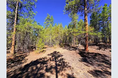 323 Aspen Drive, Leadville, CO 80461 - Photo 1