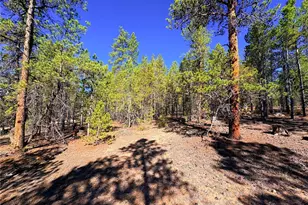 323 Aspen Dr, Leadville, CO 80461 - Photo 1