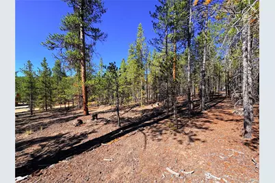 323 Aspen Drive, Leadville, CO 80461 - Photo 7