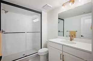 14391 Shasta Daisy Pt, Parker, CO 80134 - Photo 39