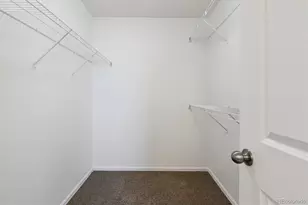 719 Elk Mountain Dr, Severance, CO 80550 - Photo 35