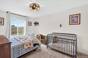 263 Corkscrew St, Elizabeth, CO 80107 - Photo 27