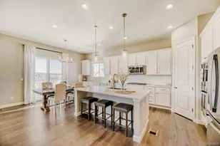 1135 Sunlit Dr, Castle Rock, CO 80109 - Photo 9