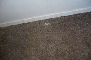 2315 Newcastle Dr, Pueblo, CO 81008 - Photo 19