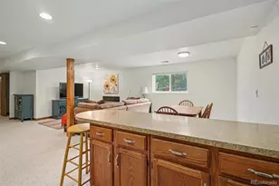 9381 McShane Ct, Parker, CO 80134 - Photo 25