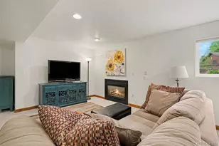 9381 McShane Ct, Parker, CO 80134 - Photo 23