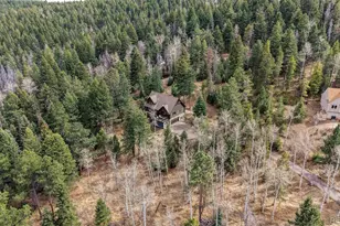 19184 Silver Ranch Rd, Conifer, CO 80433 - Photo 41