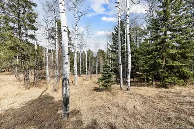 19184 Silver Ranch Road, Conifer, CO 80433 - Photo 35