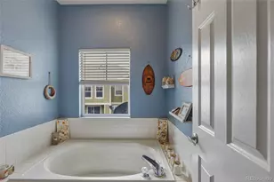 9363 Amison Cir, Parker, CO 80134 - Photo 25