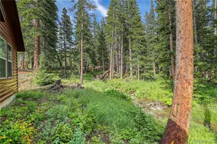 10 Stuart Vista Ct, Idaho Springs, CO 80452 - Photo 17