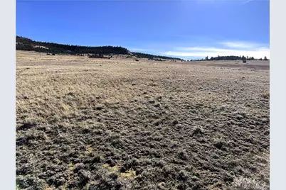 14501 Chickasaw Road, Hartsel, CO 80449 - Photo 9