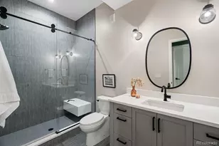 610 S Race St, Denver, CO 80209 - Photo 29