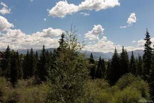 10000 Ryan Gulch Rd, Silverthorne, CO 80498 - Photo 19