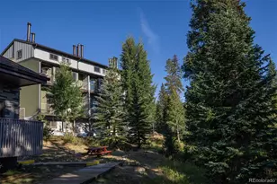 10000 Ryan Gulch Rd, Silverthorne, CO 80498 - Photo 31