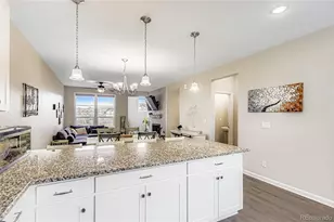 1610 Castle Creek Cir, Castle Rock, CO 80104 - Photo 7