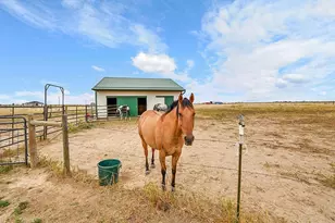 10660 Schumaker Rd, Bennett, CO 80102 - Photo 29