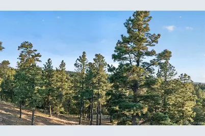 33182 Timber Park Drive, Trinidad, CO 81082 - Photo 47