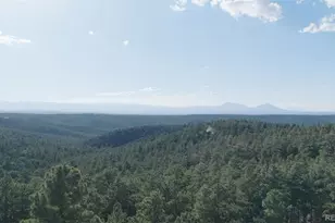 33182 Timber Park Dr, Trinidad, CO 81082 - Photo 49