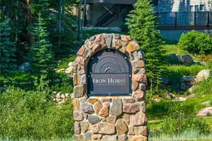 477 Iron Horse Way, Winter Park, CO 80482 - Photo 45
