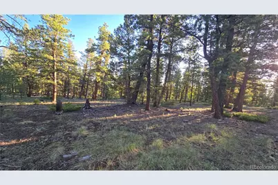 Chubb Court, Buena Vista, CO 81211 - Photo 7