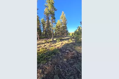 Chubb Court, Buena Vista, CO 81211 - Photo 11