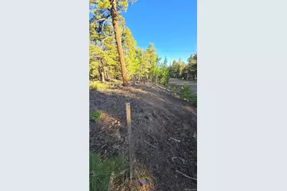 Chubb Court, Buena Vista, CO 81211 - Photo 9