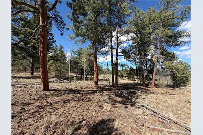 239 Shenandoah Path, Hartsel, CO 80449 - Photo 1