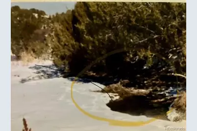 5355 Sunflower Lane, Pueblo, CO 81004 - Photo 7