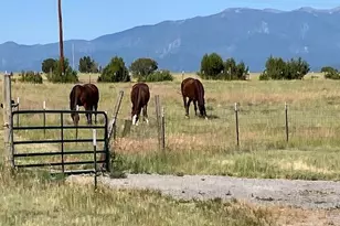 5355 Sunflower Ln, Pueblo, CO 81004 - Photo 29