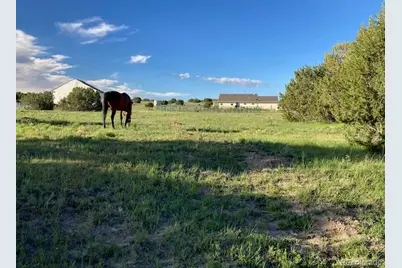 5355 Sunflower Lane, Pueblo, CO 81004 - Photo 39