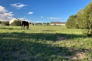 5355 Sunflower Ln, Pueblo, CO 81004 - Photo 39