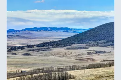 2515 High Creek Road, Fairplay, CO 80440 - Photo 41