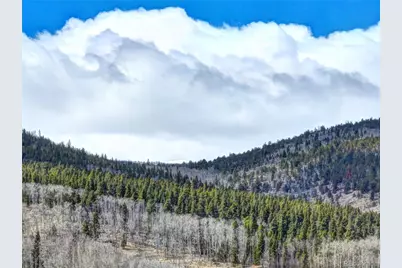 2515 High Creek Road, Fairplay, CO 80440 - Photo 43