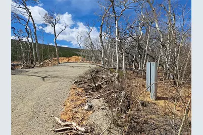 2515 High Creek Road, Fairplay, CO 80440 - Photo 21