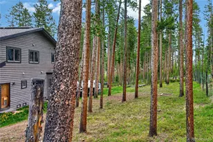 96 Cougar Ave, Fraser, CO 80442 - Photo 39