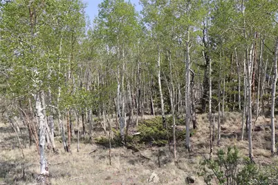 687 Corral Road, Hartsel, CO 80449 - Photo 1