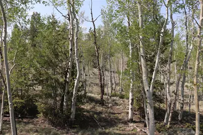 687 Corral Road, Hartsel, CO 80449 - Photo 3