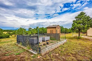 692 Sunrise Ridge, Cotopaxi, CO 81223 - Photo 49