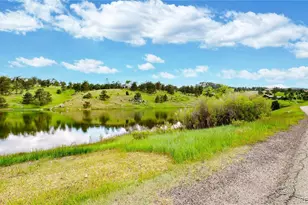 974 Spring Ranch Dr, Golden, CO 80401 - Photo 43