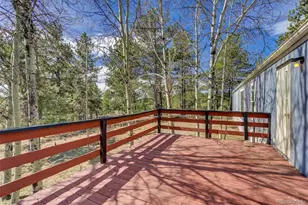 1360 Kiowa Rd, Florissant, CO 80816 - Photo 29
