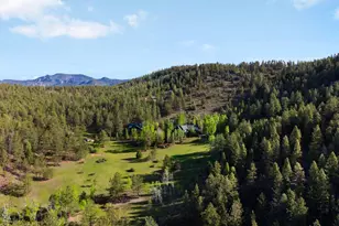 29700 S Sunset Trail, Conifer, CO 80433 - Photo 5
