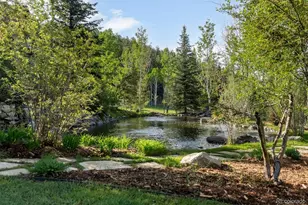 29700 S Sunset Trail, Conifer, CO 80433 - Photo 3