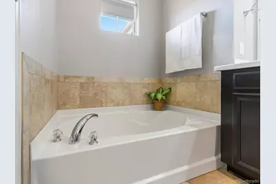 9215 E Prairie Meadow Drive, Denver, CO 80238 - Photo 27