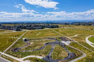 9215 E Prairie Meadow Dr, Denver, CO 80238 - Photo 39