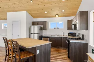 431 Rudisill St, Fairplay, CO 80440 - Photo 15